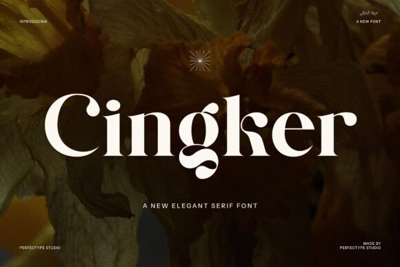 Cingker Modern Display Serif Font: Elevating Design with Elegance and Boldness