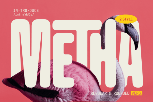 Metha: A Modern Font for Versatile Design Needs