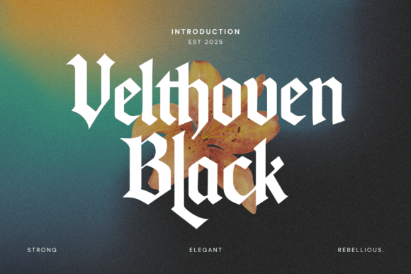 Velthoven Black: Modern Gothic Typeface Design